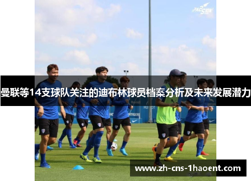 曼联等14支球队关注的迪布林球员档案分析及未来发展潜力