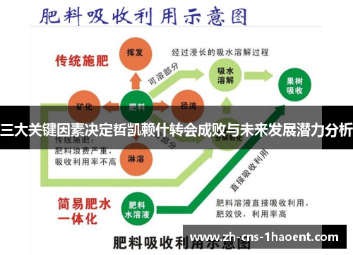 三大关键因素决定哲凯赖什转会成败与未来发展潜力分析