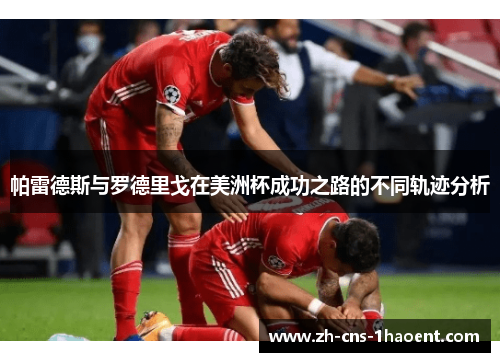 帕雷德斯与罗德里戈在美洲杯成功之路的不同轨迹分析