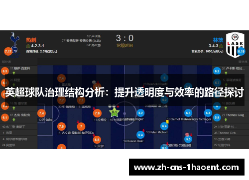 英超球队治理结构分析：提升透明度与效率的路径探讨