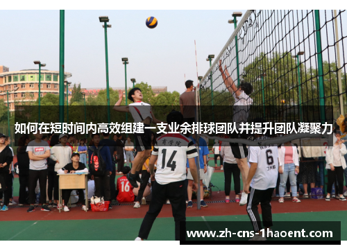 如何在短时间内高效组建一支业余排球团队并提升团队凝聚力
