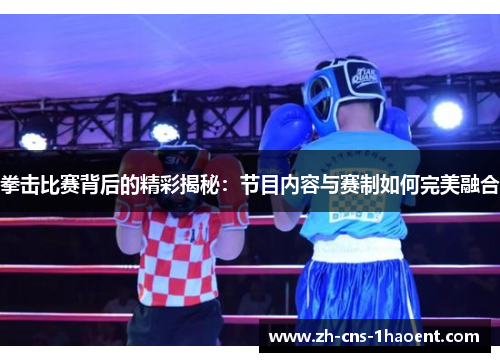 拳击比赛背后的精彩揭秘：节目内容与赛制如何完美融合