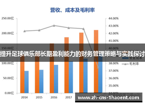 提升足球俱乐部长期盈利能力的财务管理策略与实践探讨