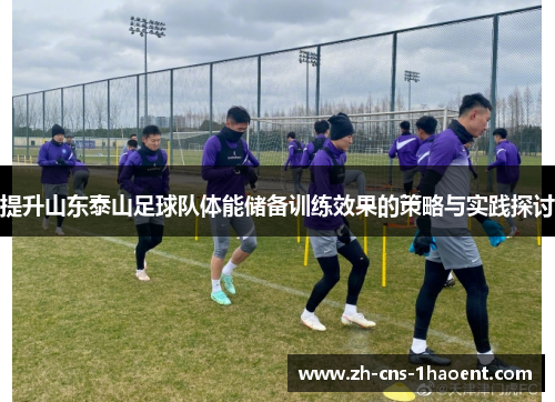 提升山东泰山足球队体能储备训练效果的策略与实践探讨