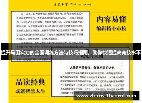 提升马羽实力的全面训练方法与技巧指南，助你快速提高竞技水平