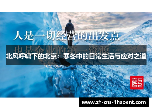 北风呼啸下的北京：寒冬中的日常生活与应对之道