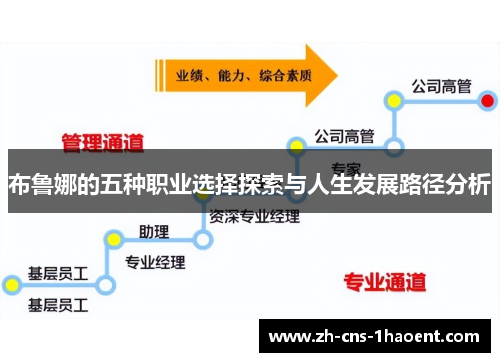 布鲁娜的五种职业选择探索与人生发展路径分析