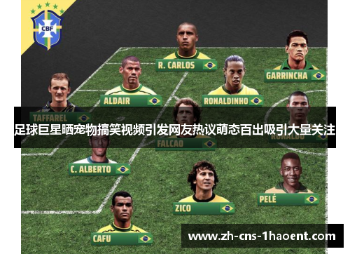 足球巨星晒宠物搞笑视频引发网友热议萌态百出吸引大量关注