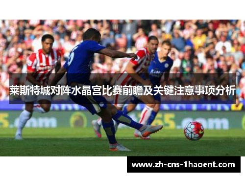 莱斯特城对阵水晶宫比赛前瞻及关键注意事项分析